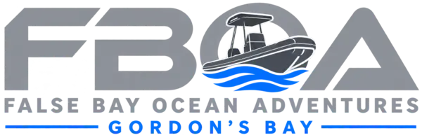 False Bay Ocean Adventures
